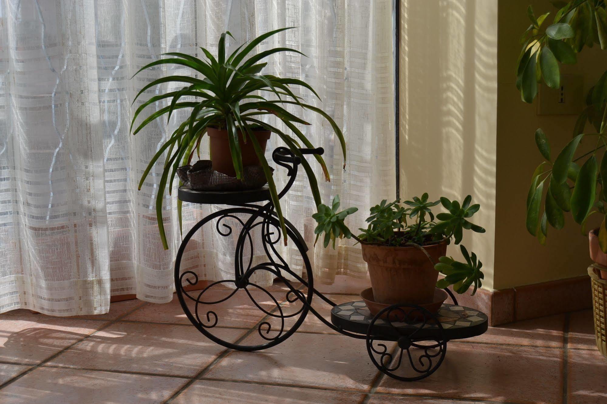 Bed & Breakfast Marena Sant'Agata Li Battiati Extérieur photo